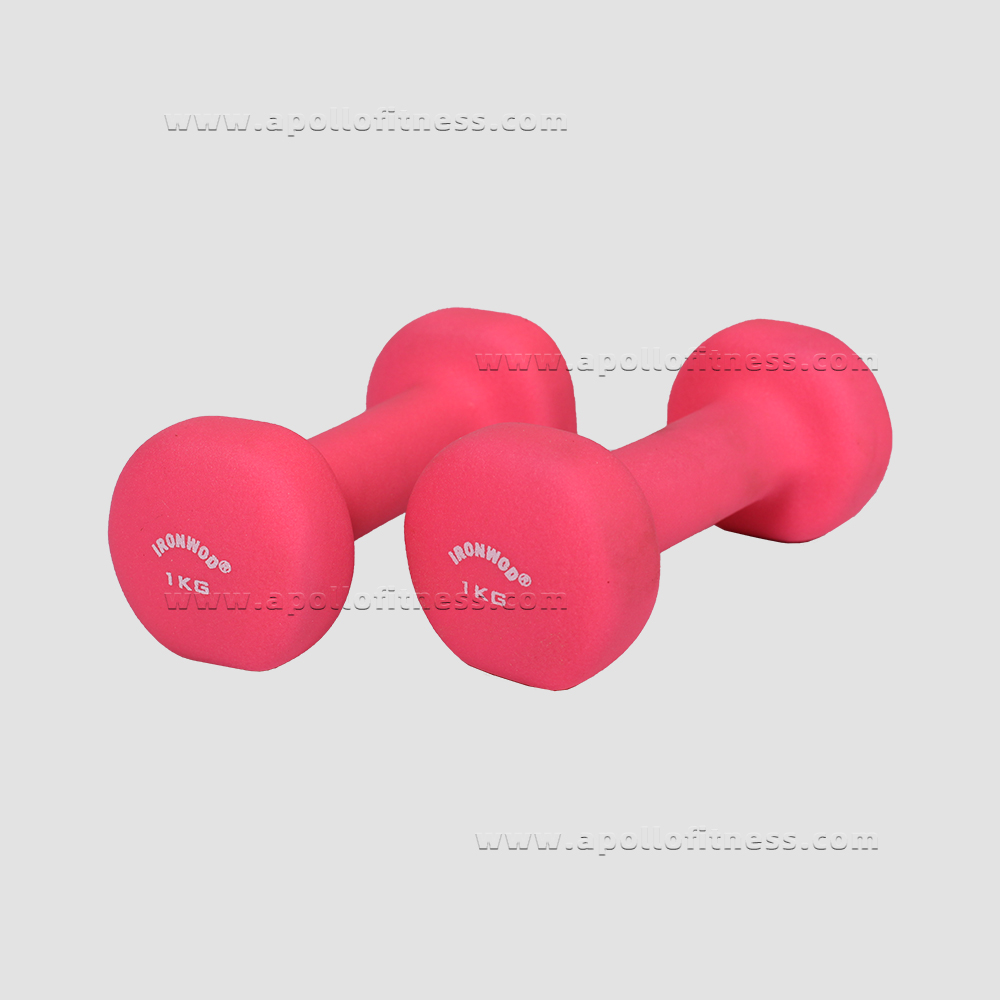 Dip plastic dumbbell