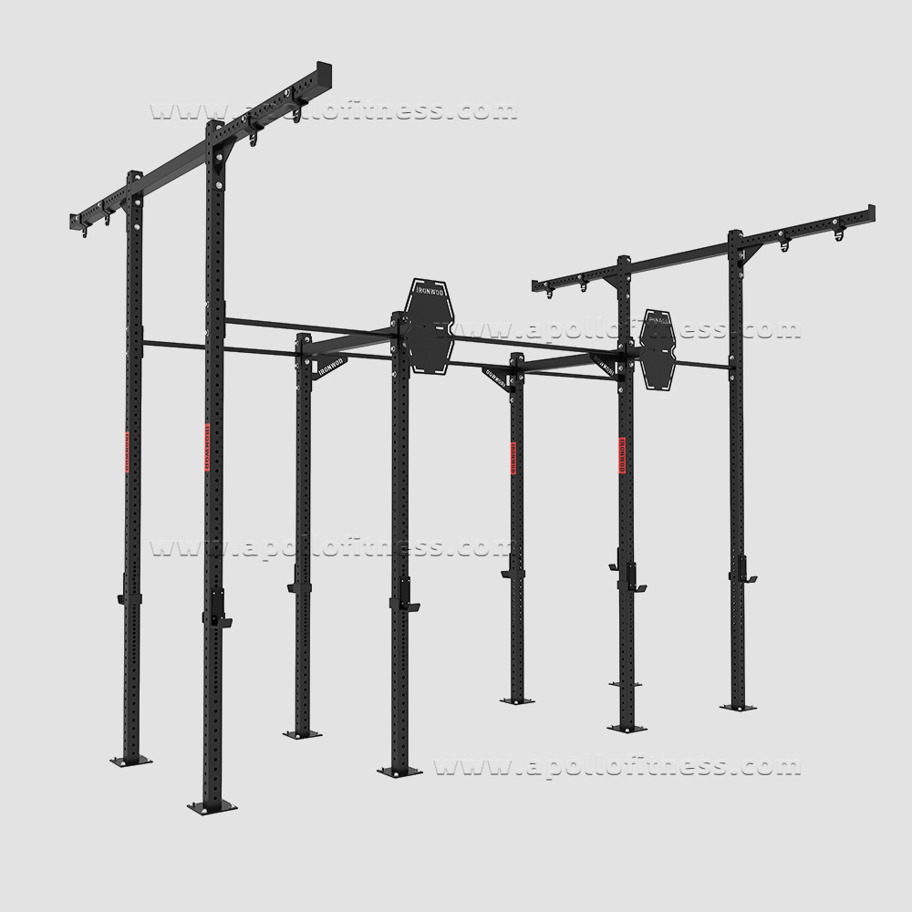 Crossfit Rig